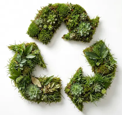 Картинка для Экология с заботой о будущем